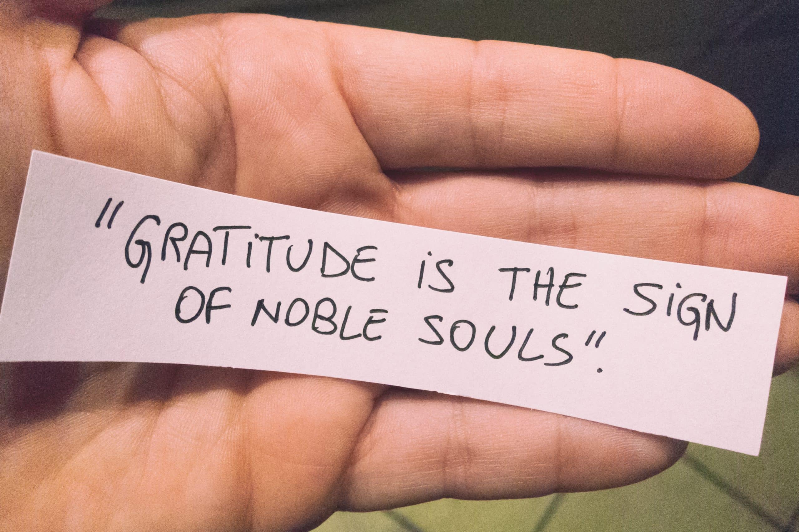 image of a gratitude quote