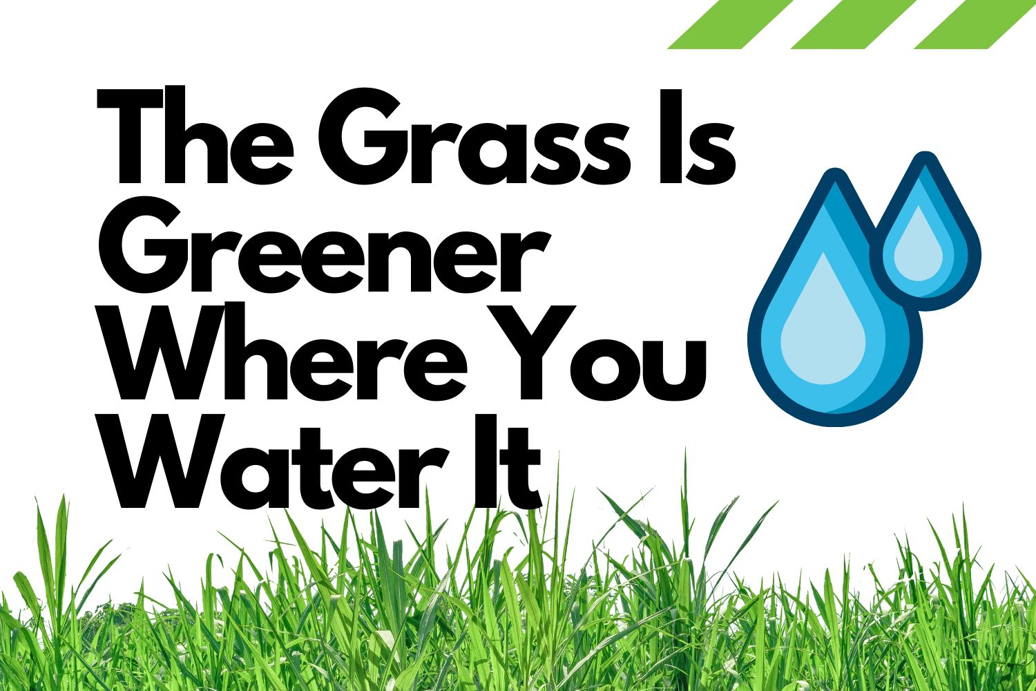 Grass Is Greener 2025