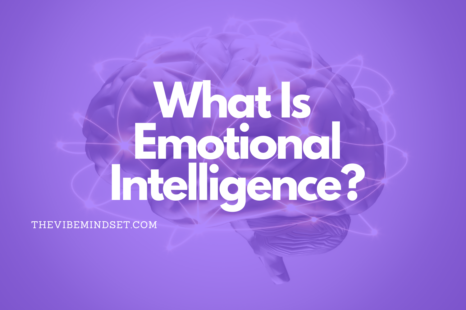 Emotional Intelligence Definition Tests Examples amp Skills