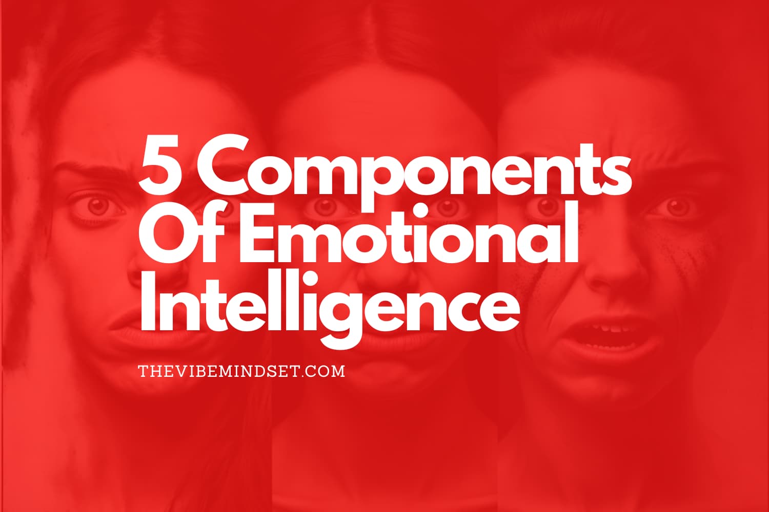 5 Components Of Emotional Intelligence What Are They