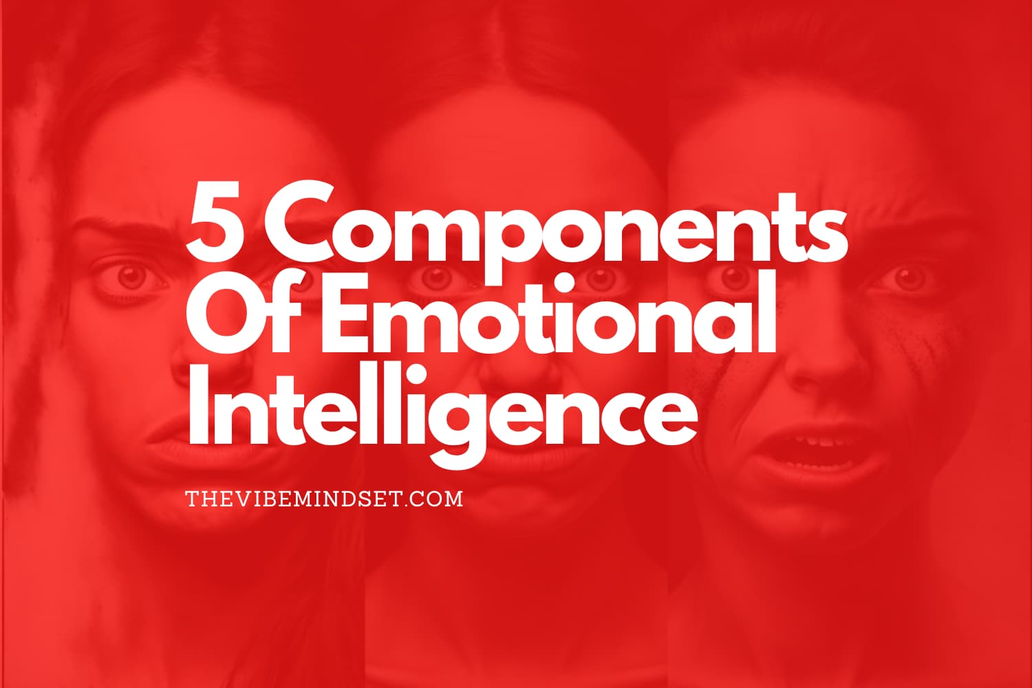 5-components-of-emotional-intelligence-what-are-they